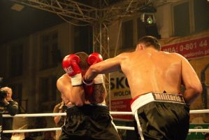 Rok 2007