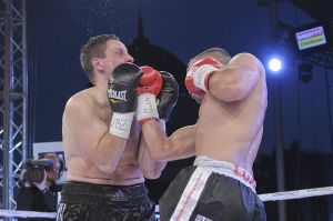 Rok 2011
